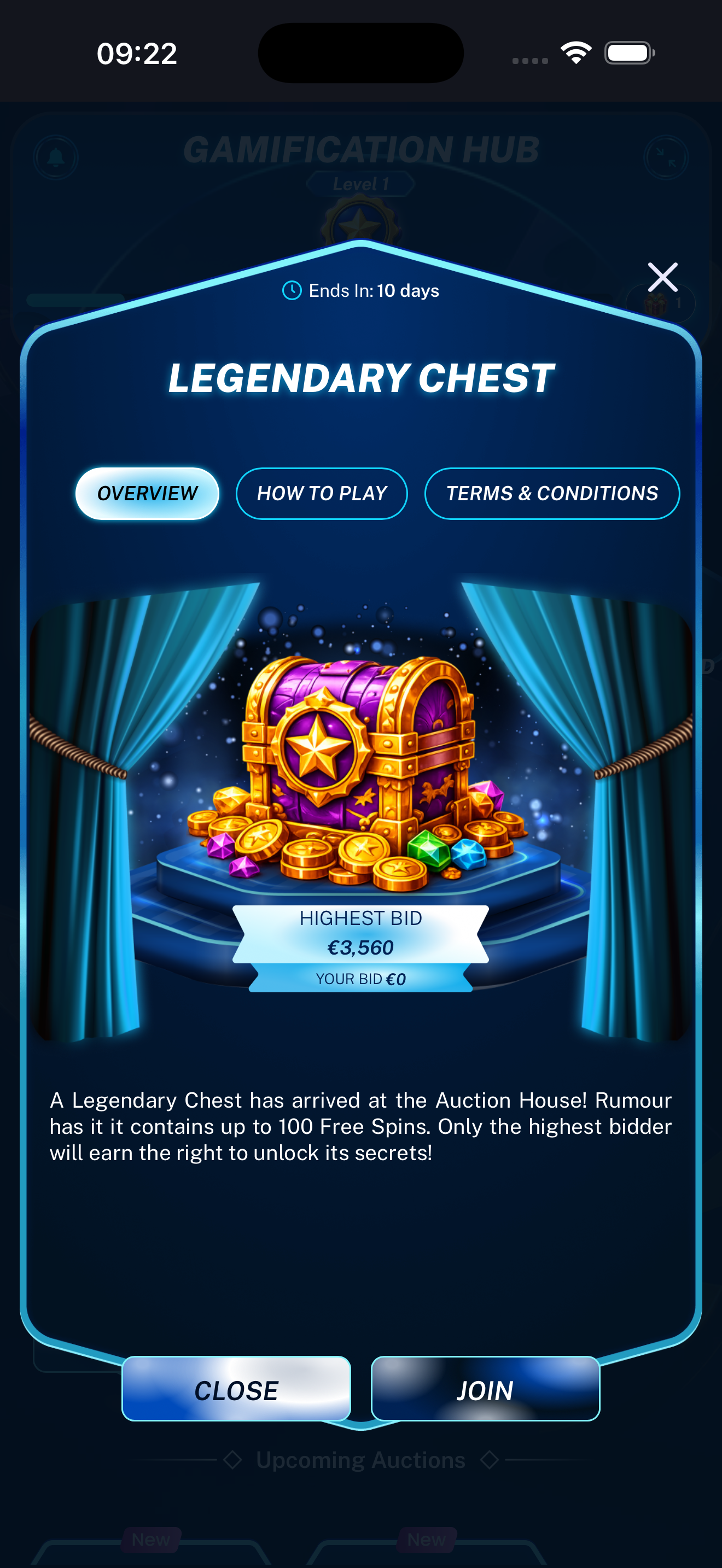 Auction Overview tab displayed on a mobile phone